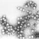 Image for article titled What You Need To Know About The Current Enterovirus Outbreak